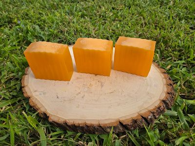 Carrot Bar *Seasonal*