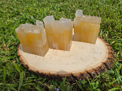 Whiskey Bar *Seasonal*